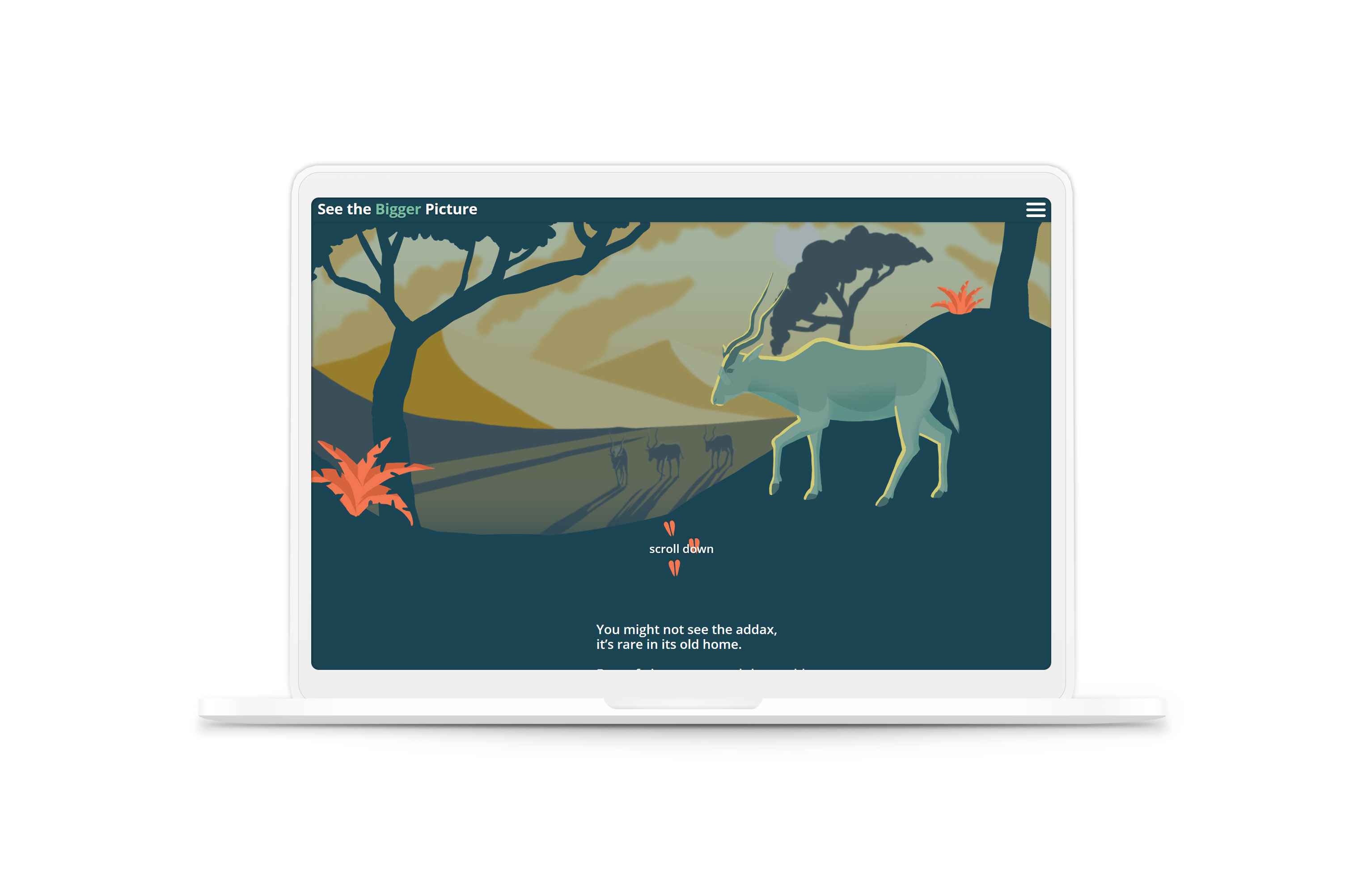 image of the support zoos website on laptop