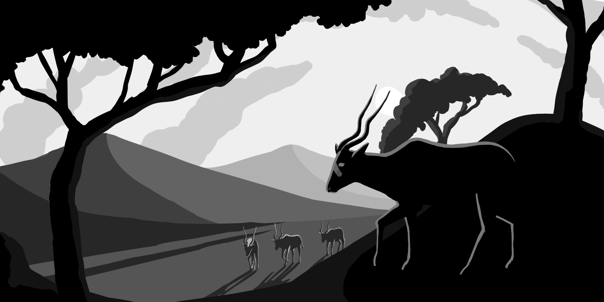 black and white in-process illustration of Addax from support zoos website