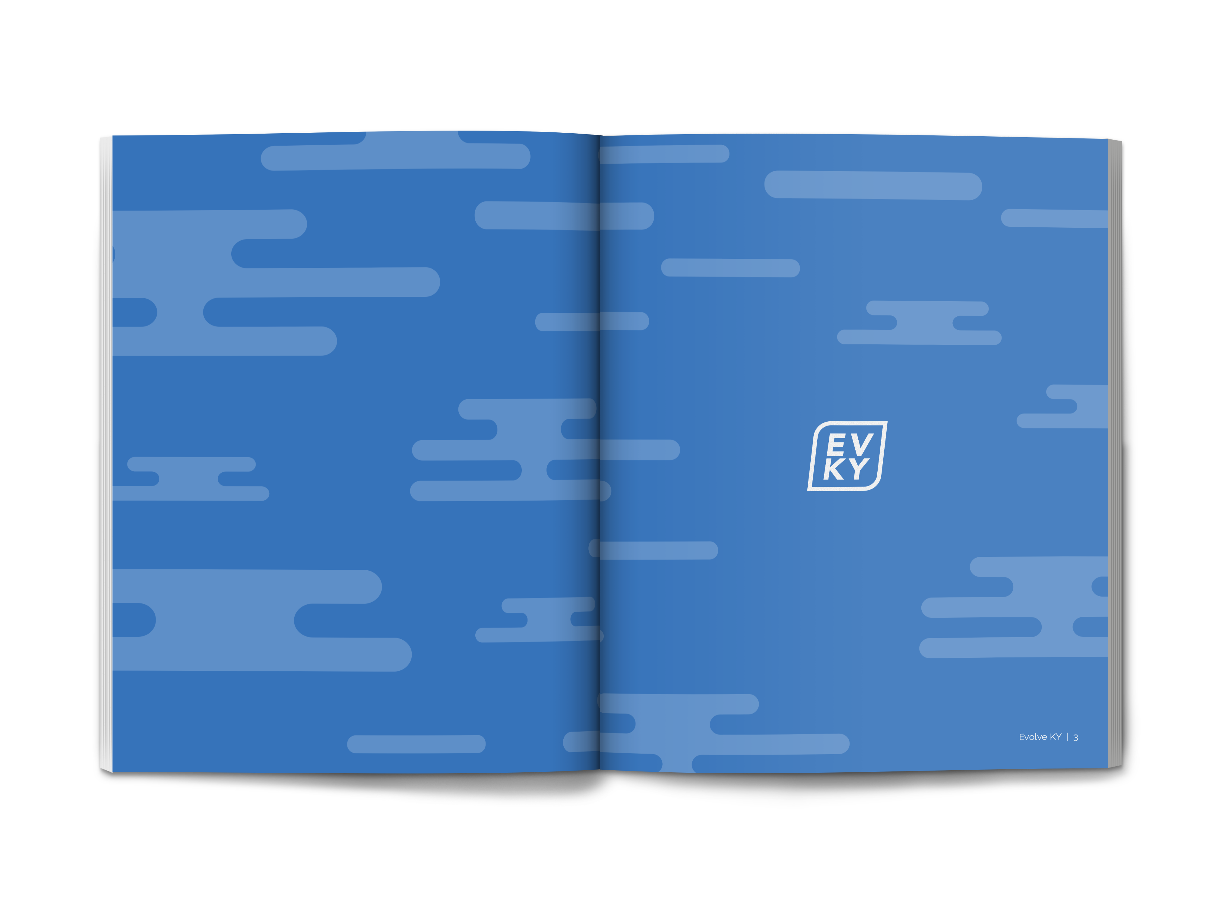 mockup of Evolve KY's brand standards guide showing cloud illustrations